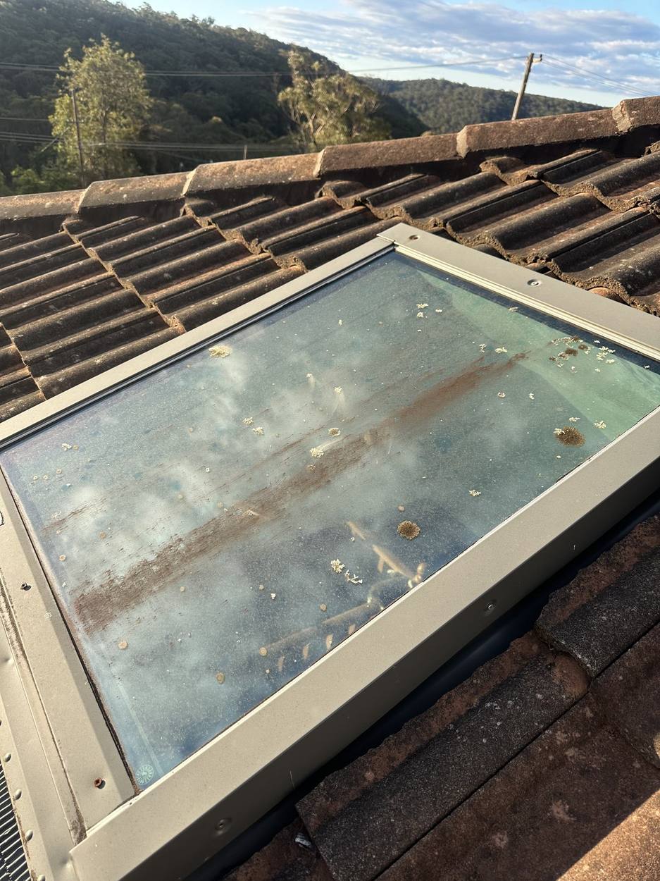Skylight glass covered in lichen and rust staining